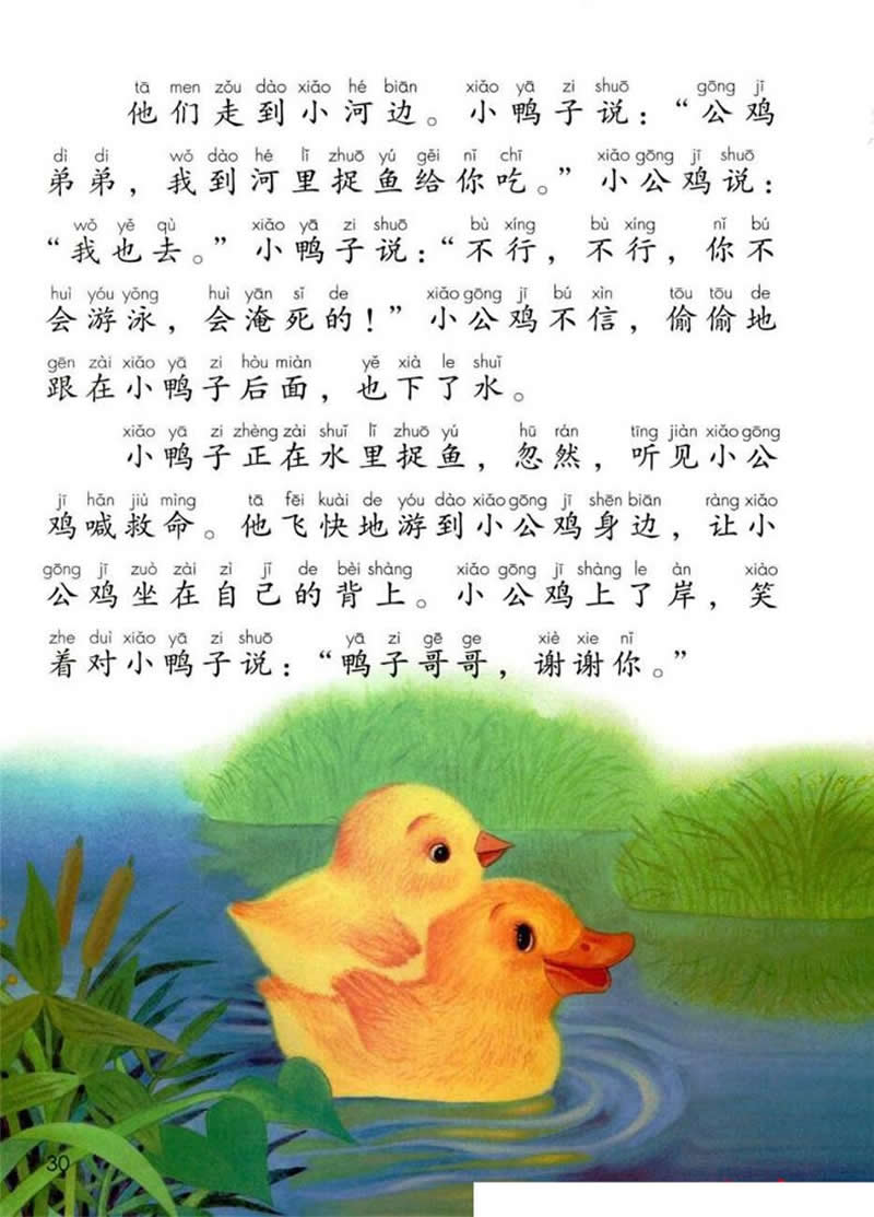 一年级语文下册《小公鸡和小鸭子》教案